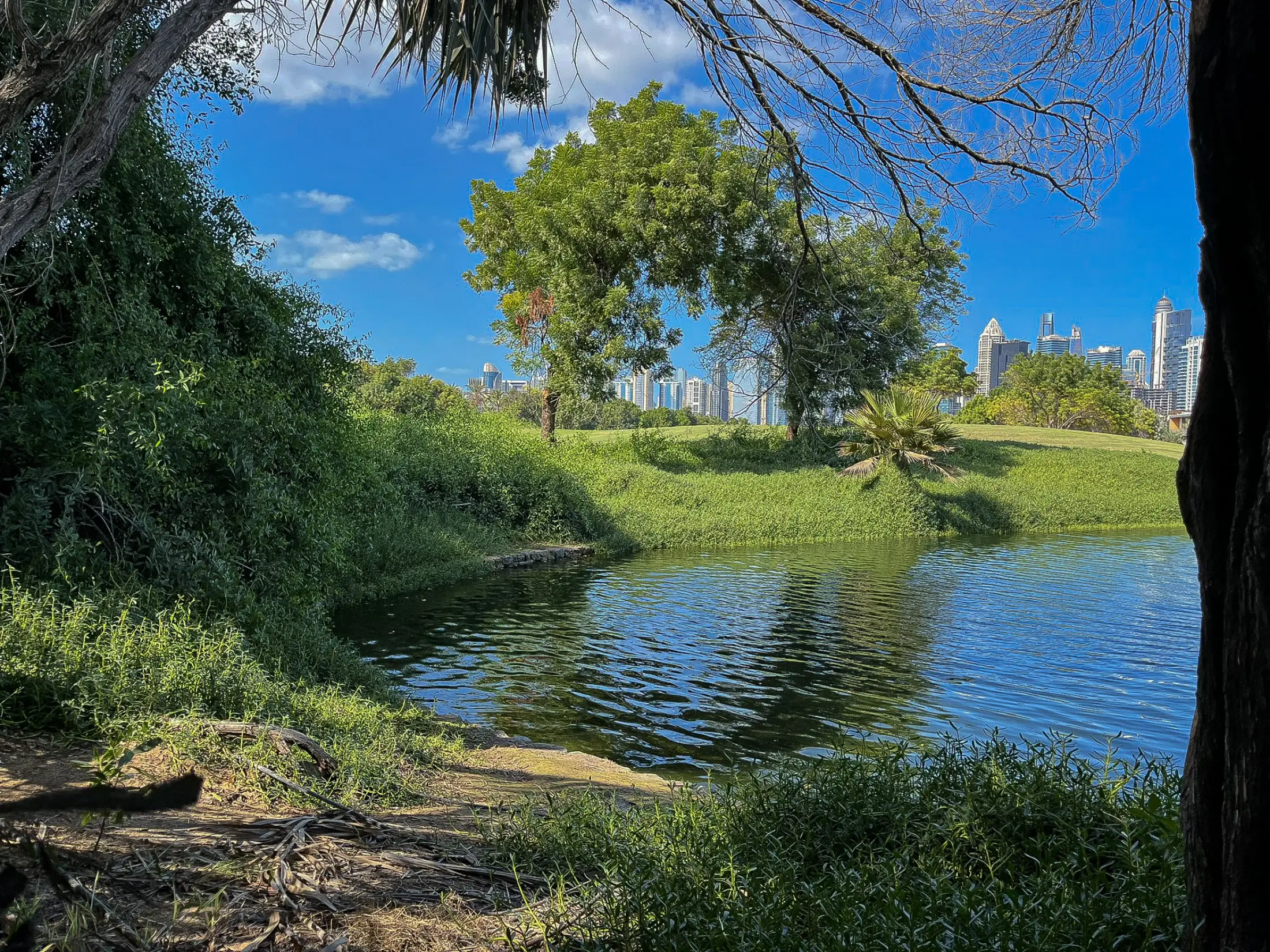 Lakeside homes among palms and lawns in Dubai