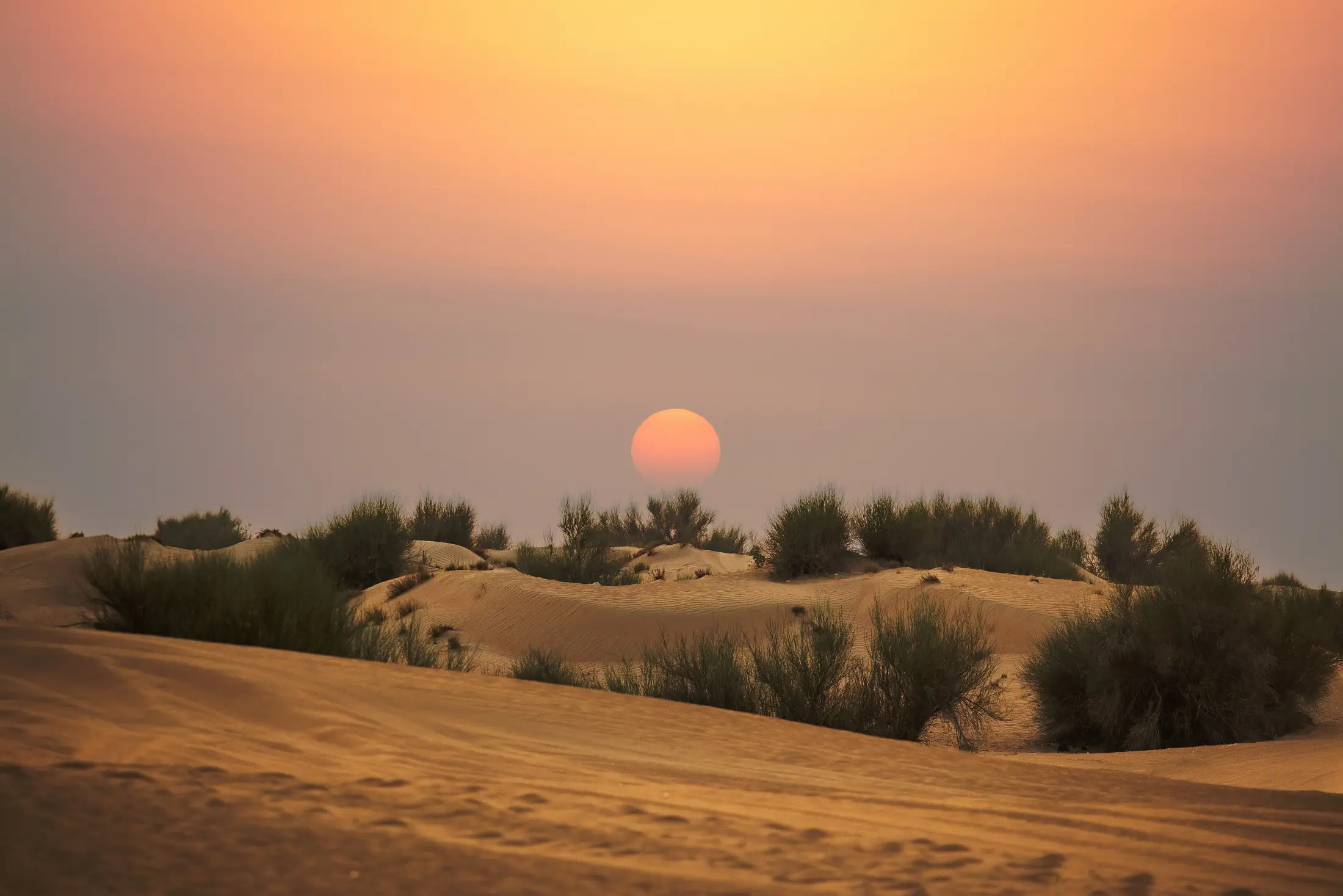 Sun setting over the dunes outside Dubai